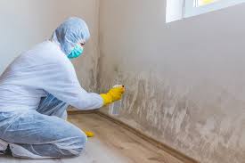 Best Industrial Mold Remediation  in Avodo Heights, CA