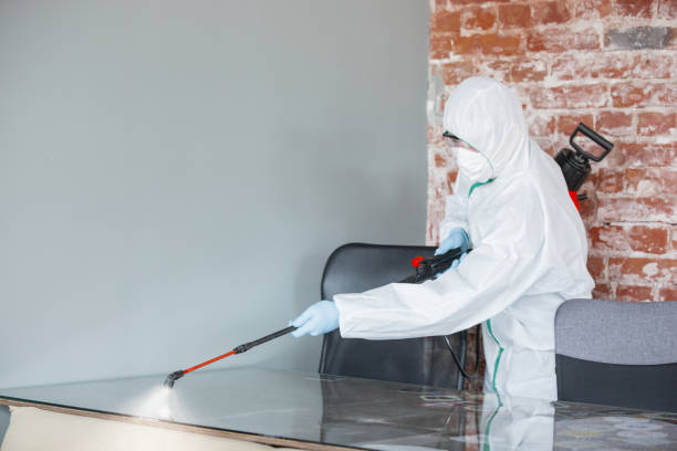 Best Mold Damage Restoration  in Avodo Heights, CA