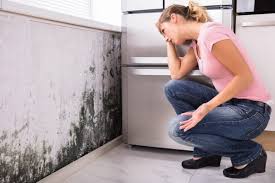 Best Residential Mold Inspection & Testing  in Avodo Heights, CA